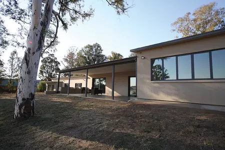 Bullfrog Pan Home1