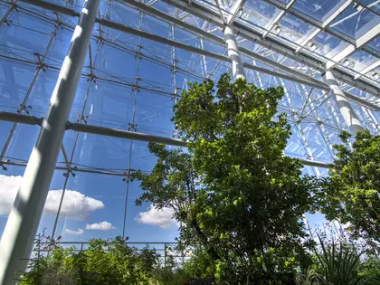 Sustainability 