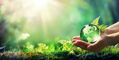 Sustainability