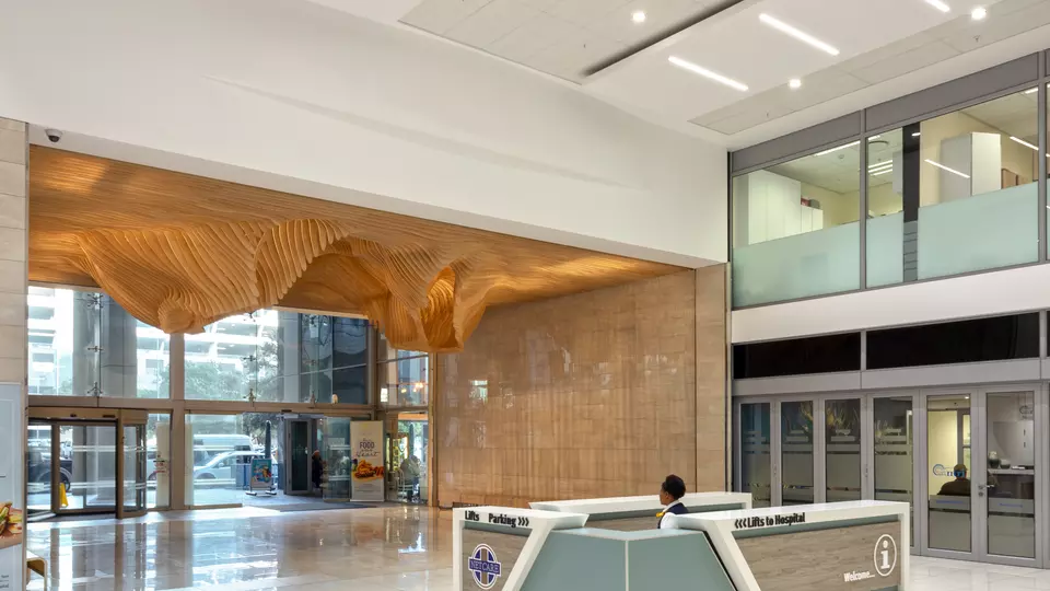 Netcare Christiaan Barnard Memorial Hospital (CBMH) – Cape Town
